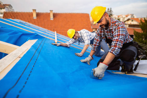 Best New Roof Installation  in Terville, WA